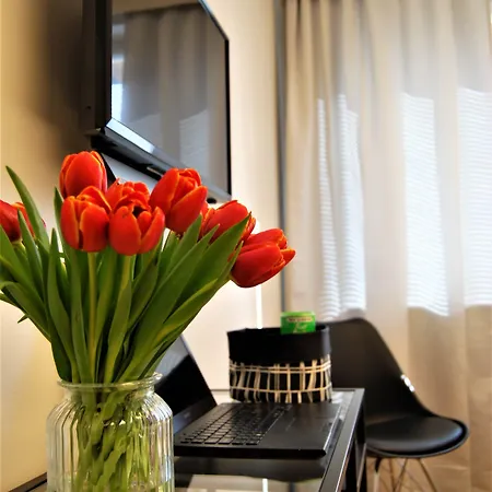 Hotel The Airport - 20rooms